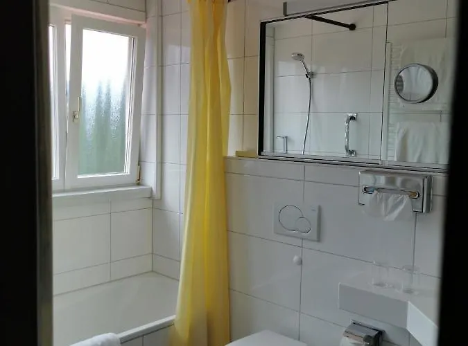 维特尔斯巴赫霍夫酒店 酒店